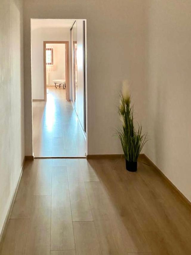 Casa Dima 호텔 콘스탄차 외부 사진